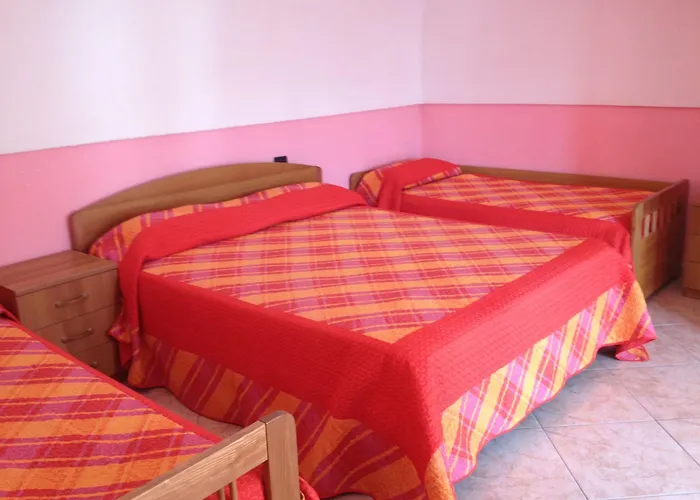 Bebe' فيكو إيكوينس