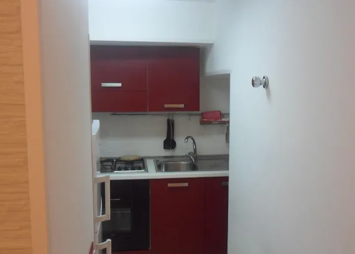 Bebe' فيكو إيكوينس