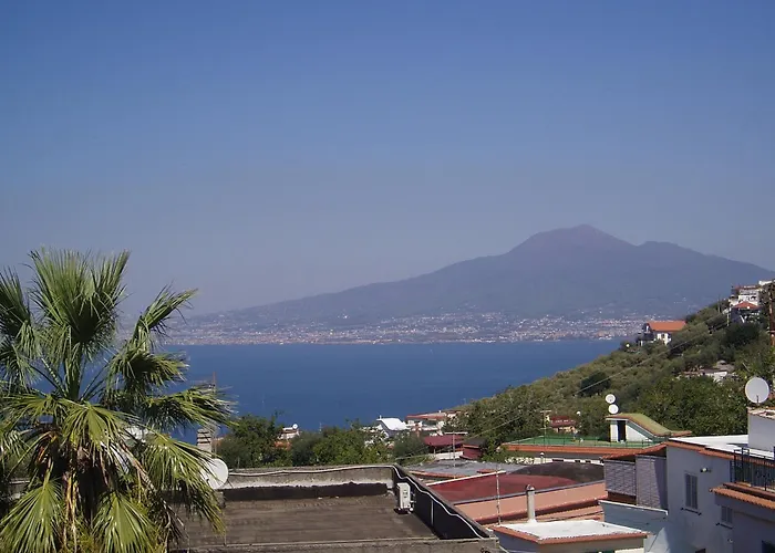 Bebe' فيكو إيكوينس