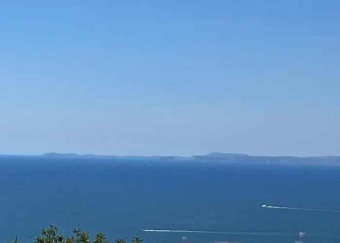 Bebe' فيكو إيكوينس